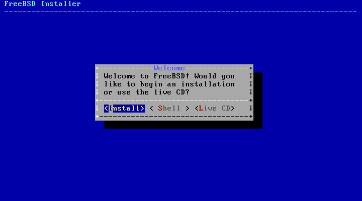 FreeBSD 10.2 install message