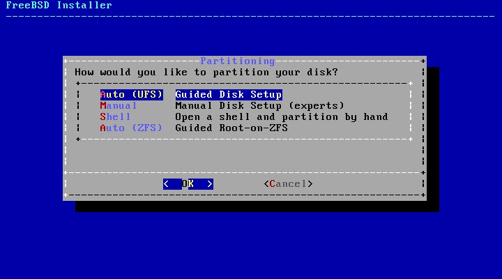 Choose partition method to install FreeBSD 10.2