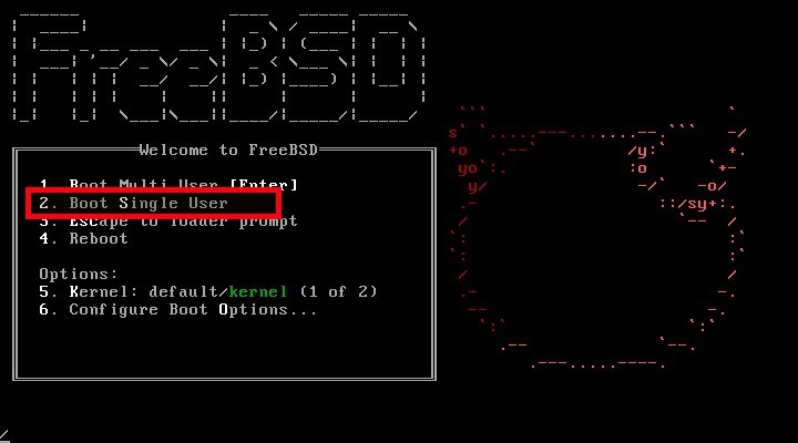 Boot into single user mode in FreeBSD