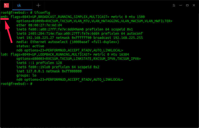 ifconfig command output freebsd
