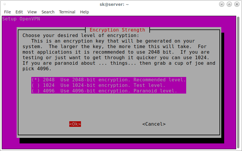 openvpn raspberry pi