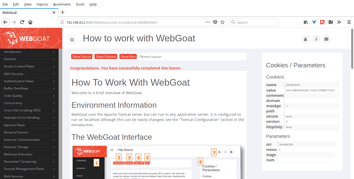 How to work with WebGoat