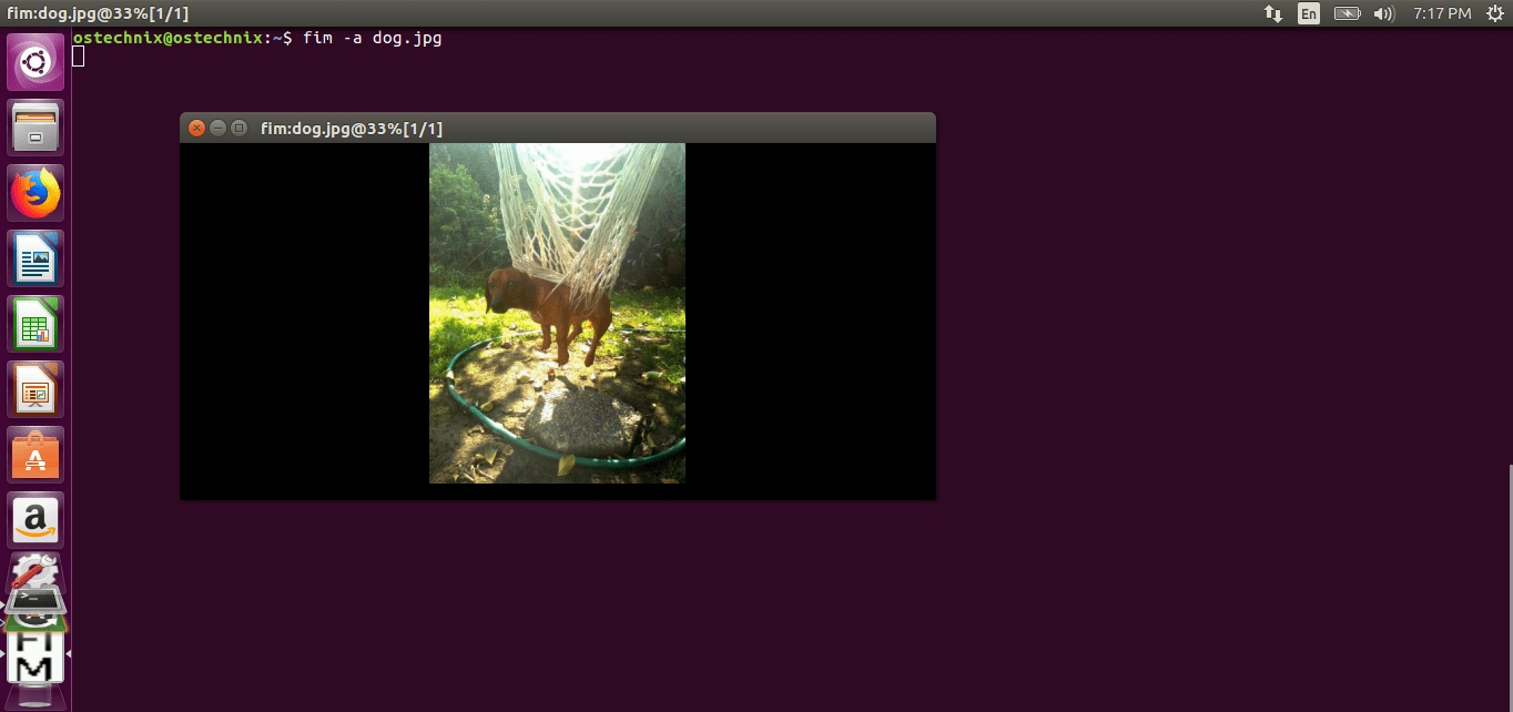 Display Images In the Terminal Using Fim