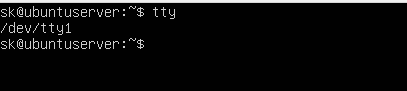 tty command output under SystemD