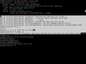 Configure Mouse Support For Linux Virtual Consoles - OSTechNix