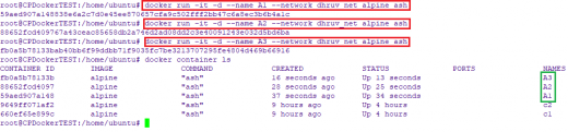 Explaining Docker Networking Concepts - OSTechNix