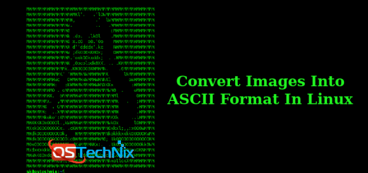 Convert Images Into ASCII Format In Linux