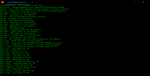 Install Nginx, MySQL, PHP (LEMP Stack) On Ubuntu 20.04 LTS