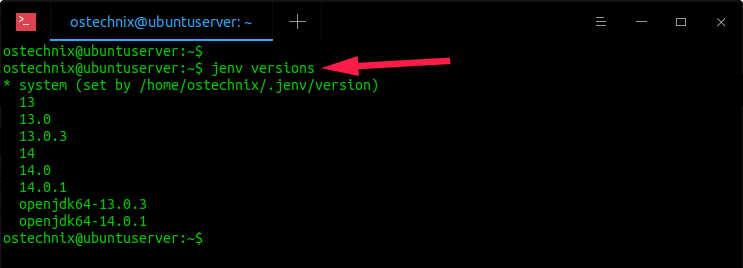 Manage Multiple Java Versions With jEnv On Linux