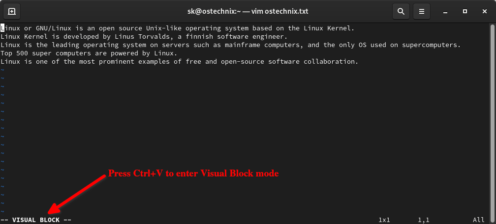Enter into Visual block mode in Vim editor