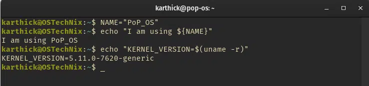 Variable and command expansion