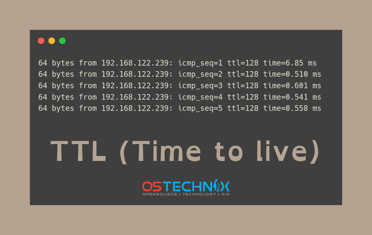 What Does Ttl Mean In Ping