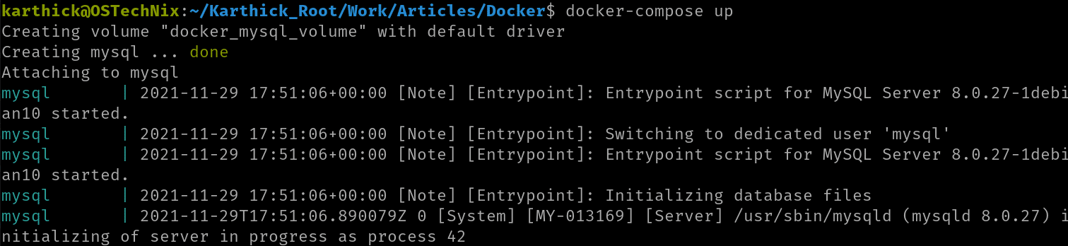 Launch MySQL Container With Docker Compose