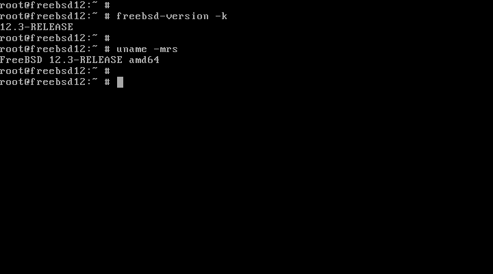 检查 FreeBSD 操作系统和内核版本