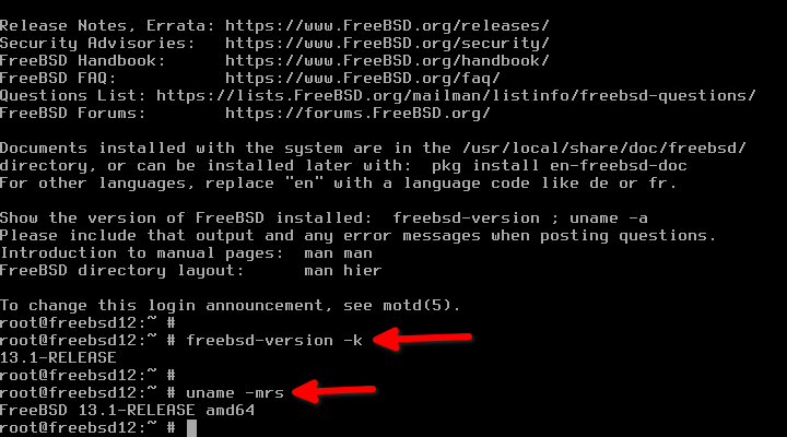 显示 FreeBSD 操作系统和内核版本