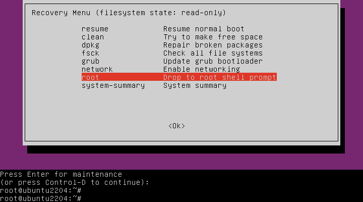 Boot Into Rescue Mode Or Emergency Mode In Ubuntu - Ostechnix