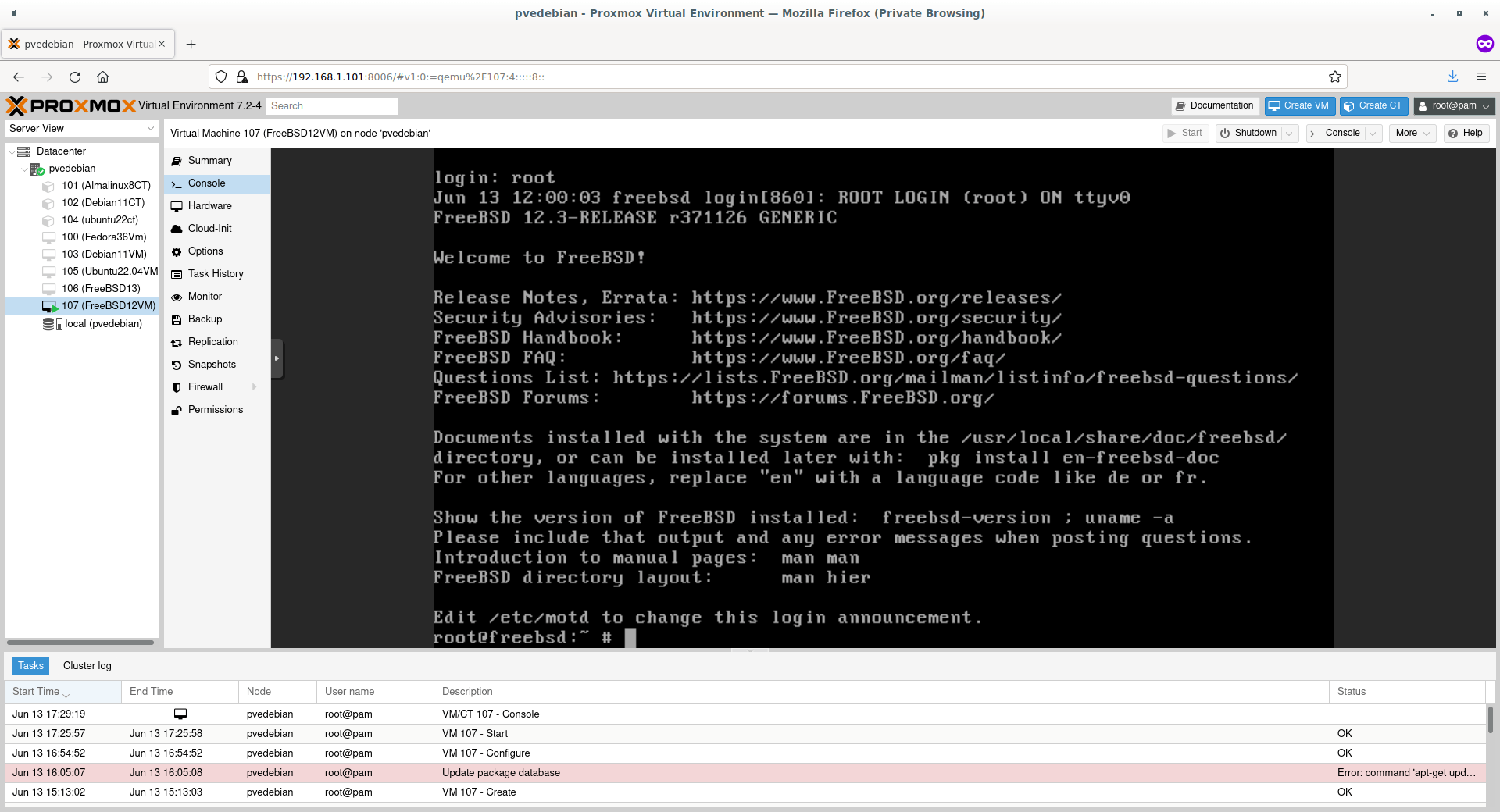 FreeBSD Virtual Machine Running In Proxmox