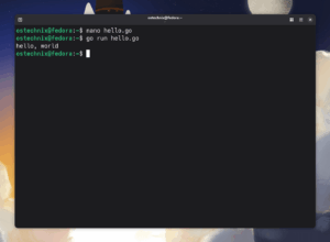 Go Helloworld Syntax How To Install Go Language In Linux - OSTechNix