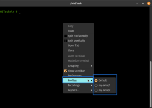 Install And Use Terminator Terminal Emulator In Linux - OSTechNix