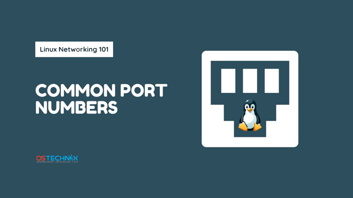 Understanding Common Port Numbers in Networking