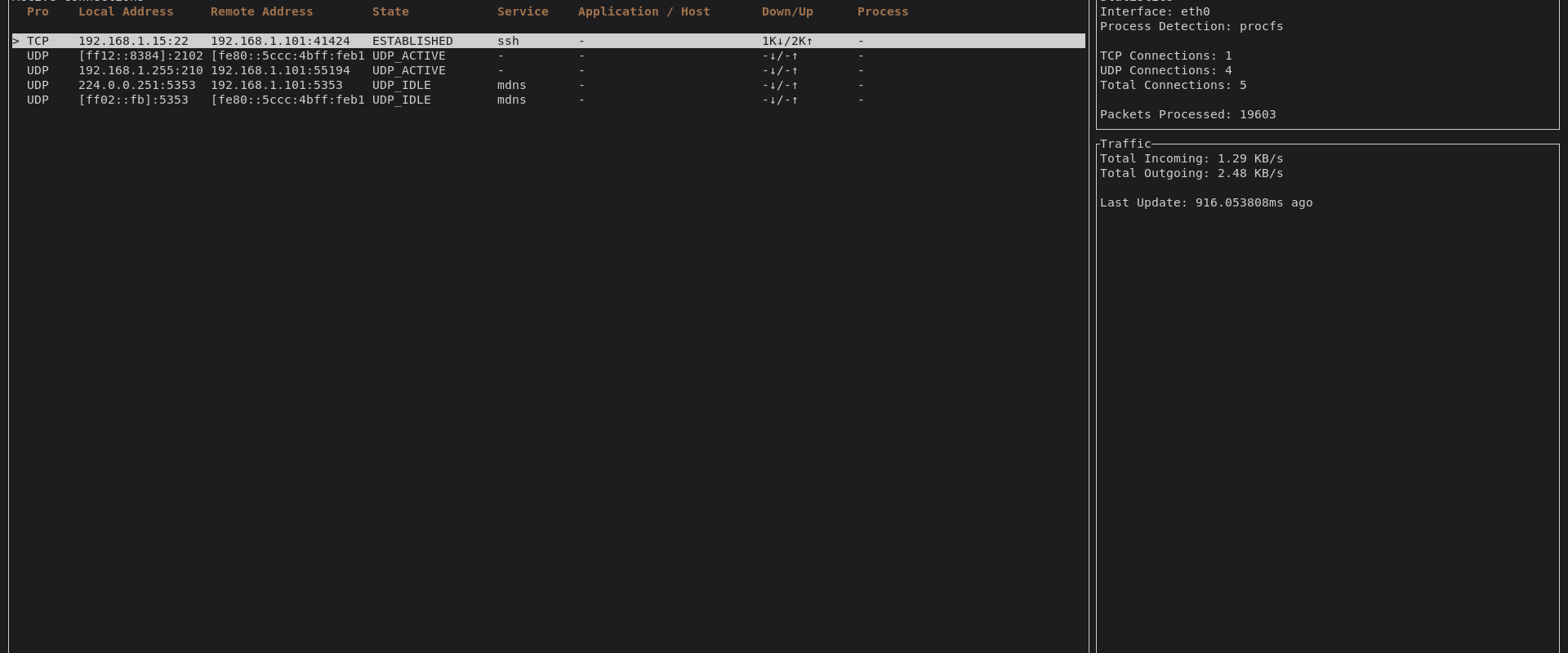 Real-time Network Monitoring Made Easy using RustNet