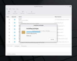 Linux Mint 22.3 "Zena" Released: What's New and How to Upgrade - OSTechNix