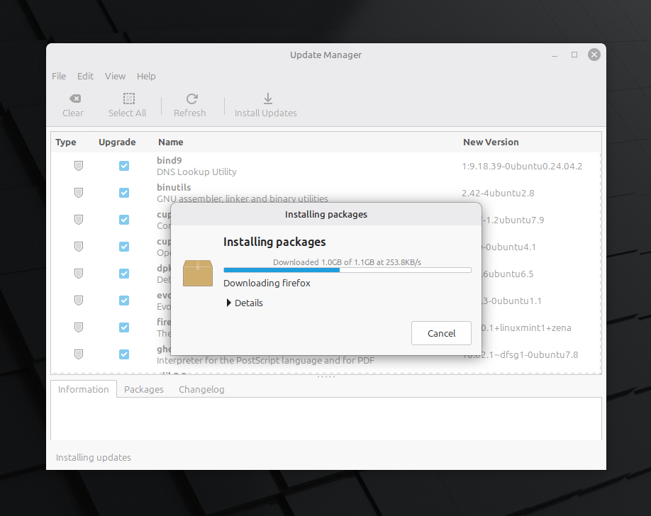 Installing Updates in Linux Mint Installing Updates in Linux Mint