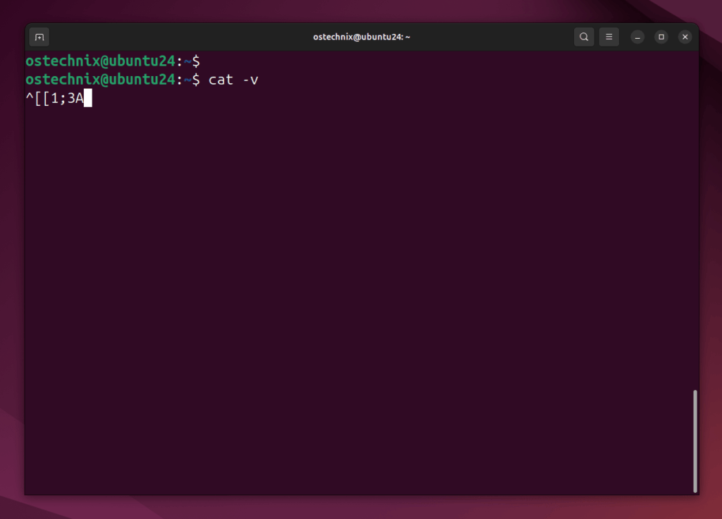 Find Terminal Escape Sequences using cat Command