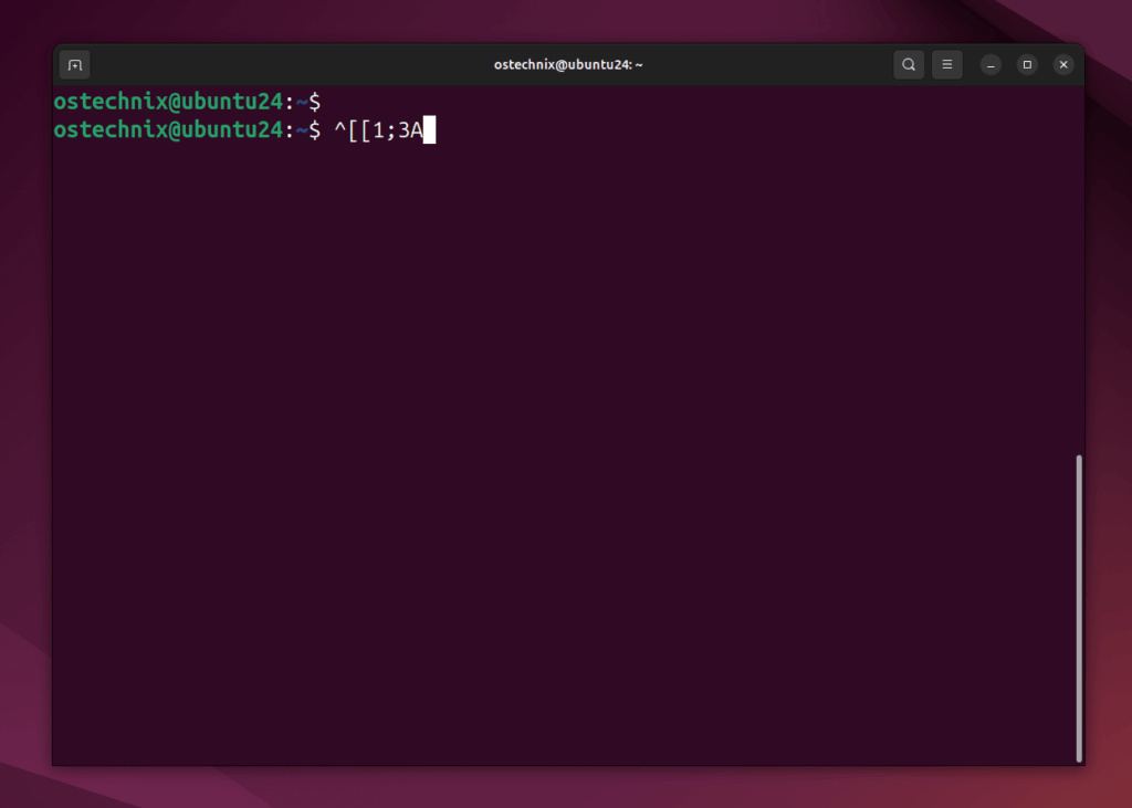 Linux Terminal Escape Sequence