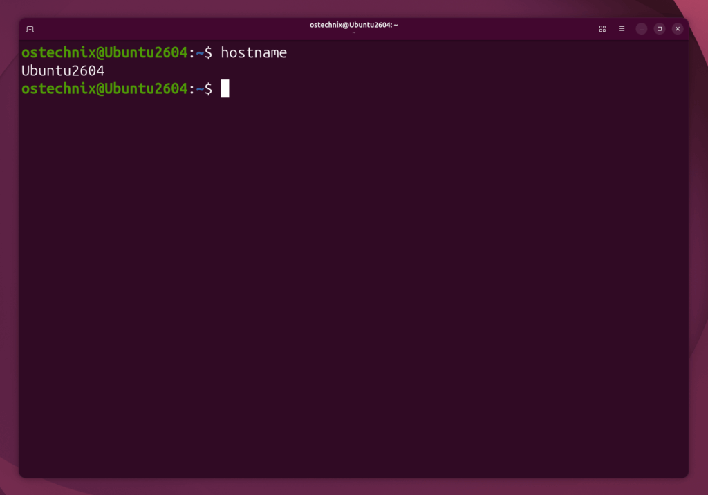 Hostname Command Output Hostname Command Output