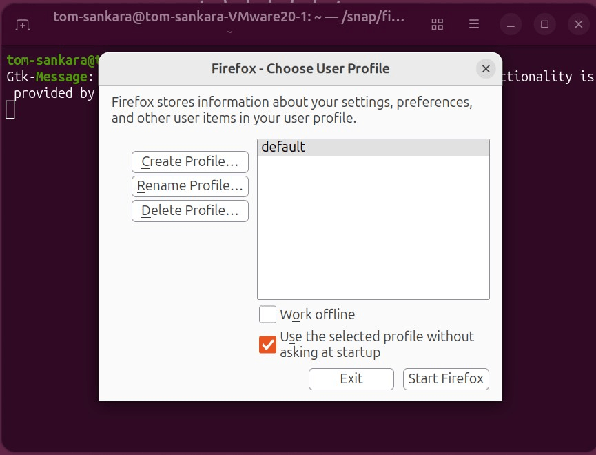 Choose User Profile in Firefox Choose User Profile in Firefox