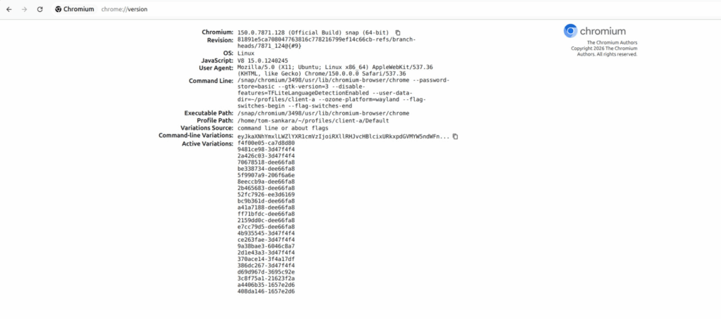 Launch Chromium with Custom Profile Launch Chromium with Custom Profile
