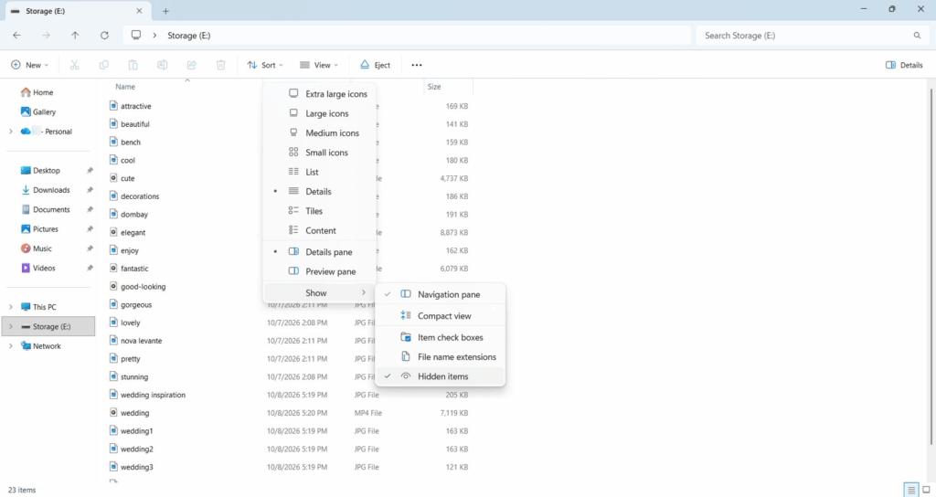 Show Hidden Files on Windows Show Hidden Files on Windows